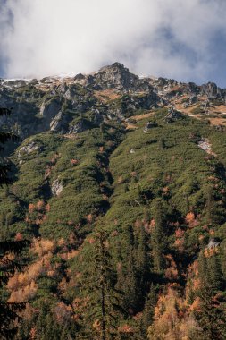Sonbaharda ormanın ve dağların güzel dikey manzarası. Zakopane, Polonya 'da mavi gökyüzü ve bulutlara karşı yeşil ve karla kaplı dağlar. Tatra dağları sonbaharda güneşli bir günde görünür..