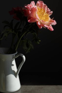 Yumuşak pembe şakayık siyah arka planda beyaz bir sürahide duruyor. Yaz çiçeklerinin makro fotoğrafları