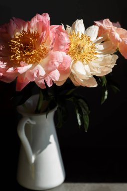 Yumuşak pembe ve bej şakayıklar kapanıyor. Siyah arkaplanda beyaz bir vazoda şakayık demeti olan bir makro fotoğraf..