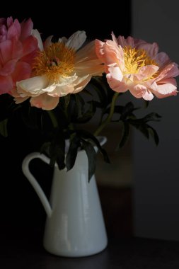 Yumuşak pembe ve bej şakayıklar kapanıyor. Siyah arkaplanda beyaz bir vazoda şakayık demeti olan bir makro fotoğraf..