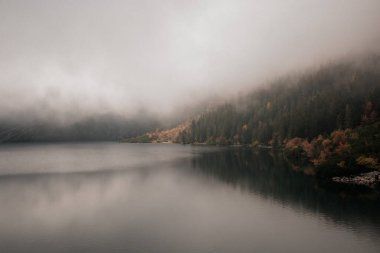 Sonbaharda, Zakopane, Polonya 'daki Morskoe Oko dağının sisli manzarası. İnanılmaz sisli sonbahar manzarası Renkli orman ve dağ gölü.