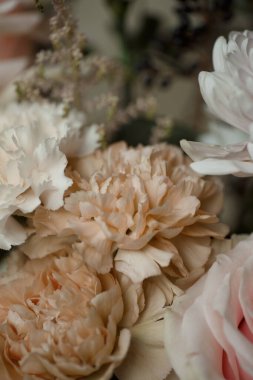 Doğal ışık altında yumuşak bej karanfillere yakın çekim. Romantik çiçek geçmişi düğünler, bahar ve minimalist estetikler için mükemmel.