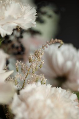 Yumuşak bej karanfiller ve doğal ışıkta kurumuş çiçekler. Düğün davetiyeleri, romantik kartlar, çiçekli arka planlar ve zarif gelinlik tasarımları için mükemmel..