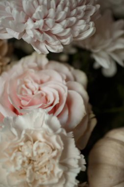 Pastel pembe güller, beyaz kasımpatılar ve küçük bir bej balkabağı manzarası. Romantik çiçek kompozisyonu sonbahar düğün davetiyeleri, mevsimlik tebrik kartları ya da markalaşma için mükemmel..