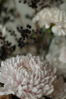 Siyah böğürtlen ve kremsi beyaz yapraklı yumuşak pastel çiçeklere yakın çekim. Şık sonbahar kompozisyonu düğün tasarımı, tebrik kartları, markalaşma ve çiçek arkaplanı için mükemmel..
