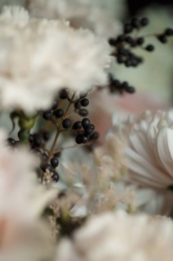 Siyah böğürtlen ve kremsi beyaz yapraklı yumuşak pastel çiçeklere yakın çekim. Şık sonbahar kompozisyonu düğün tasarımı, tebrik kartları, markalaşma ve çiçek arkaplanı için mükemmel..