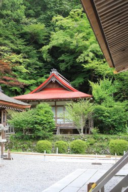 Japonya 'nın Kyoto bölgesindeki Izumo Büyük Tapınağı veya Izumodaijinguu