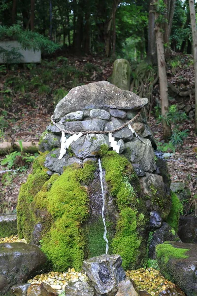Izumo Grand Shrine Eller Izumodaijinguu Kyoto Pref Japan – stockfoto