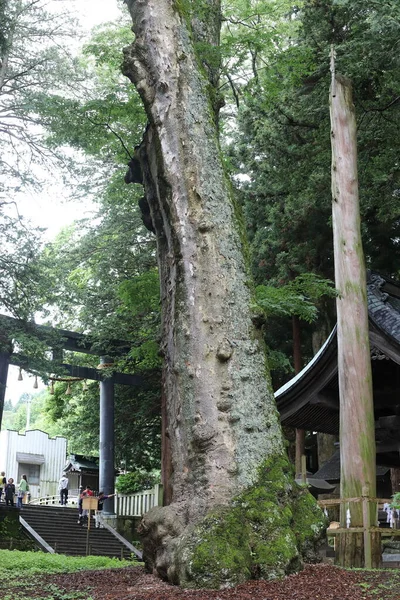 Ιερό Της Suwa Taisha Στο Νομό Nagano Της Ιαπωνίας — Φωτογραφία Αρχείου