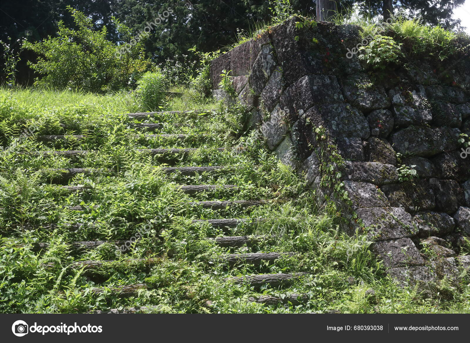 Iwamura Castle One Historical Castles Japan Stock Photo by ©feather0510