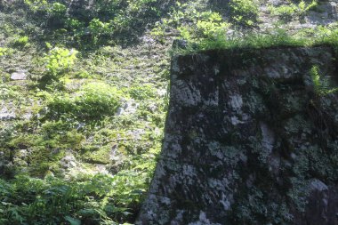 Iwamura Kalesi Japonya 'daki tarihi kalelerden biridir.