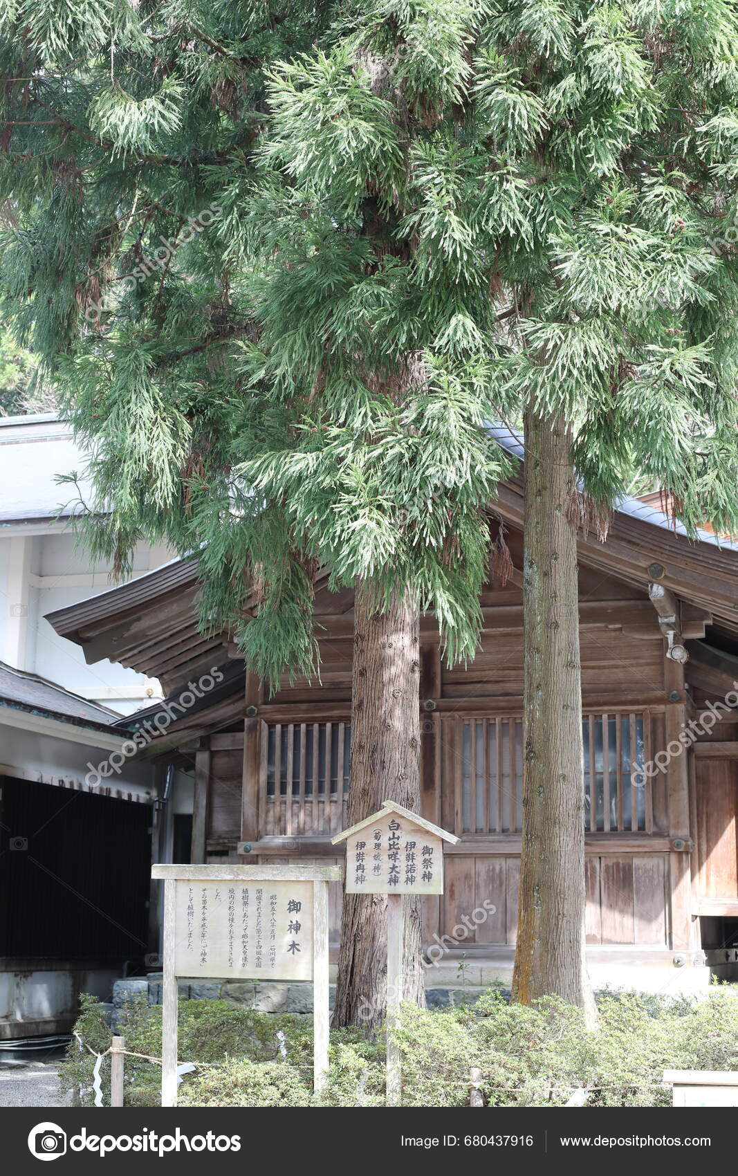 Shirayamahime Jinja Shinto Shrine Sannomiyamachi Neighborhood City