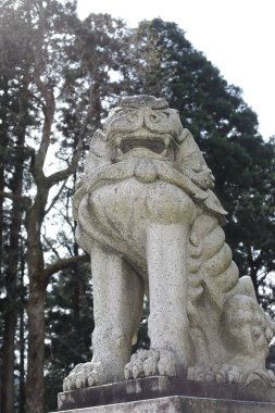 Shirayamahime Jinja, Japonya 'nın Ishikawa ilindeki Hakusan şehrinin Sannomiyamachi semtinde bulunan bir Shinto tapınağıdır..