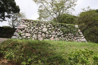 Tamaru Kalesi, Watarai-gun, Mie ilinin Tamamura ilçesinde Nanboku-ch döneminde yaşamış bir Japon kalesidir.. 