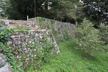 Tamaru Kalesi, Watarai-gun, Mie ilinin Tamamura ilçesinde Nanboku-ch döneminde yaşamış bir Japon kalesidir.. 