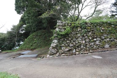 Tamaru Kalesi, Watarai-gun, Mie ilinin Tamamura ilçesinde Nanboku-ch döneminde yaşamış bir Japon kalesidir.. 