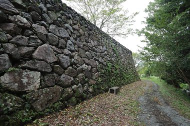 Tamaru Kalesi, Watarai-gun, Mie ilinin Tamamura ilçesinde Nanboku-ch döneminde yaşamış bir Japon kalesidir.. 