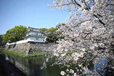 Oita City 'deki Funai Kalesi, Oita Bölgesi, Kyushu adasında. Funai Kalesi, Oita Kalesi olarak da bilinen, Kyushu adasında, Oita şehrinin Oita şehrinde bulunan tarihi bir Japon kalesidir.. 