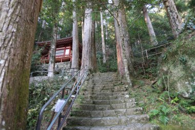 Nachi Şelalesi Japonya 'daki en ünlü ve kutsal şelalelerden biridir. Wakayama Bölgesi 'nde, UNESCO' nun Dünya Mirası Kutsal Arazileri ve Kii Dağları 'ndaki hac rotalarının bir parçası olan Kumano bölgesinde yer almaktadır..
