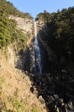 Nachi Şelalesi Japonya 'daki en ünlü ve kutsal şelalelerden biridir. Wakayama Bölgesi 'nde, UNESCO' nun Dünya Mirası Kutsal Arazileri ve Kii Dağları 'ndaki hac rotalarının bir parçası olan Kumano bölgesinde yer almaktadır..
