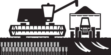 Buğday tarlasında hasat ve traktörü birleştir- vektör çizimi