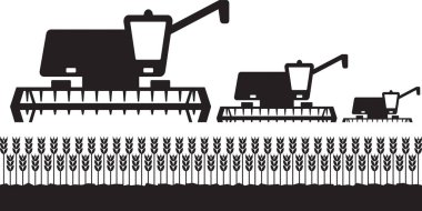 Tarlada buğday toplayan hasatçıları birleştirin - vektör çizici