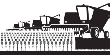 Tarlada buğday toplayan üç biçerdöver - vektör çizer