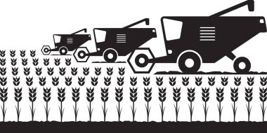 Tarlada buğday toplayan hasatçıları birleştirin - vektör çizici