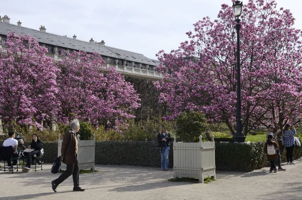 2023年3月16日 法国巴黎 位于法国巴黎王宫美丽花园的人们 — 图库照片