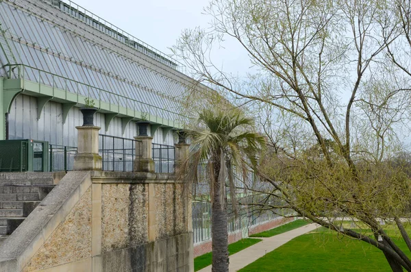 Greenhouse Metallic Crystal Facade Plants Garden Paris France — Stock Photo, Image