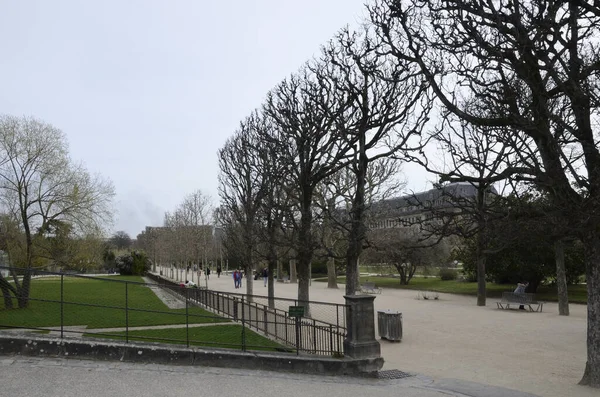 Parigi Francia Marzo 2023 Gente Passeggia Giardino Delle Piante Nel — Foto Stock