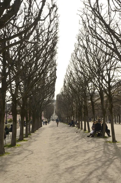 Paris, Fransa - 16 Mart 2023: Fransa 'nın bulutlu bir gününde Paris' teki Kraliyet Sarayı 'nın bahçelerinde ağaçların arasında yol alan insanlar.