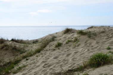 Marbella, Endülüs, İspanya 'da Kum Dune.