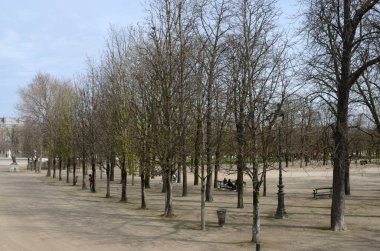 Paris, Fransa - 20 Mart 2023: Bir Mart günü Fransa 'nın başkenti Paris' teki Tuileries Garden 'da çok az sayıda insan.