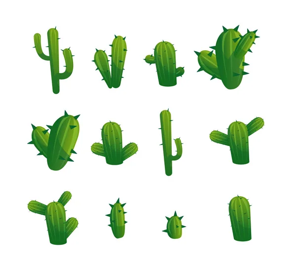 Desert Kaktusz Növények Dekoratív Természeti Elemek Gyűjtemény Lapos Vektor Illusztráció — Stock Vector