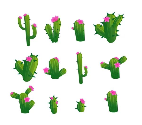 Set Van Groene Cactussen Met Roze Bloemen Platte Stijl Vector — Stockvector