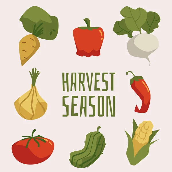 自然の熟した野菜や果物 平らな漫画のベクトルのイラストと収穫シーズンのバナーやカードのモックアップ 秋の収穫販売と市場のバナーまたはポスター — ストックベクタ