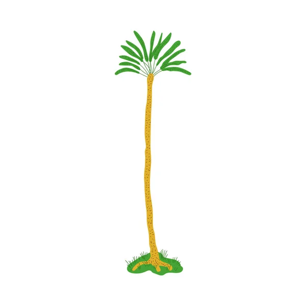 Palmboom Met Hand Getekend Vlakke Vector Illustratie Geïsoleerd Een Achtergrond — Stockvector
