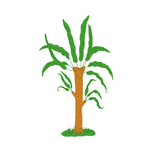 Prehistoric Plant Palm Tree Jurassic Period Flat Cartoon Vector Illustration — Stock Vector
