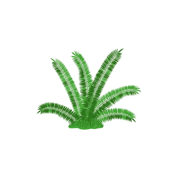 ジュラ紀のシダ緑の先史時代の植物 白い背景に隔離された平らな漫画のベクトル図 先史時代または熱帯の植物 — ストックベクタ