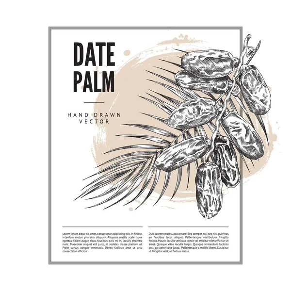 Дизайн Пальмового Баннера Макет Этикетки Пищевой Упаковки Пальмовой Ветвью Нарисованный — стоковый вектор