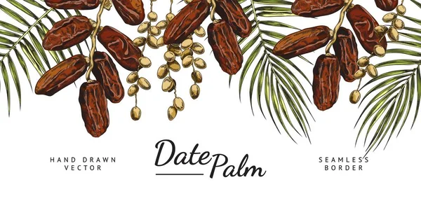 Date Palm Naadloze Rand Met Hand Getekend Schets Vector Illustratie — Stockvector