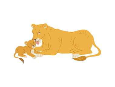 Mother lioness licking her little cub, flat vector illustration isolated on white background. Lioness is taking care of young lion or lion cub. Concepts of motherhood, wildlife, zoo and safari. clipart