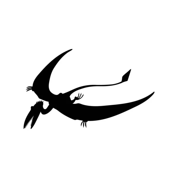 Pterodactyl Prehistoric Flying Dinosaur Black Silhouette Vector Illustration Isolated White — Stock Vector