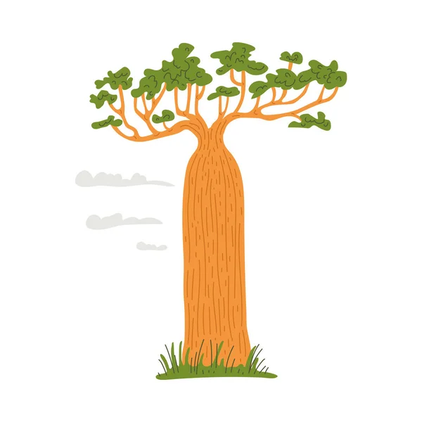 Баобаб Обезьянье Дерево Африканской Саванны Большим Толстым Стволом Плоским Векторным — стоковый вектор