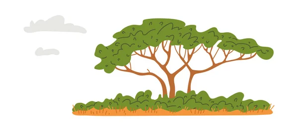 Akazienbaum Der Der Afrikanischen Savanne Wächst Flache Vektordarstellung Auf Weißem — Stockvektor