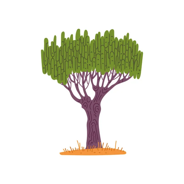 Árbol Africano Baobab Con Tallo Grueso Estilo Plano Ilustración Vectorial — Vector de stock