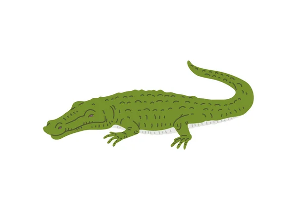 Krokodyl Zwierząt Płaski Wektor Ilustracji Izolowane Białym Tle Niebezpieczny Afrykański — Wektor stockowy