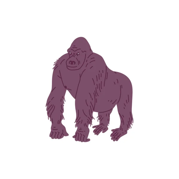 Afrikanischer Gorilla Affe Steht Flach Cartoon Vektor Illustration Isoliert Auf — Stockvektor