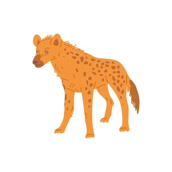 African Hiena Zwierząt Stojących Płaski Wektor Kreskówki Ilustracji Izolowane Białym — Wektor stockowy